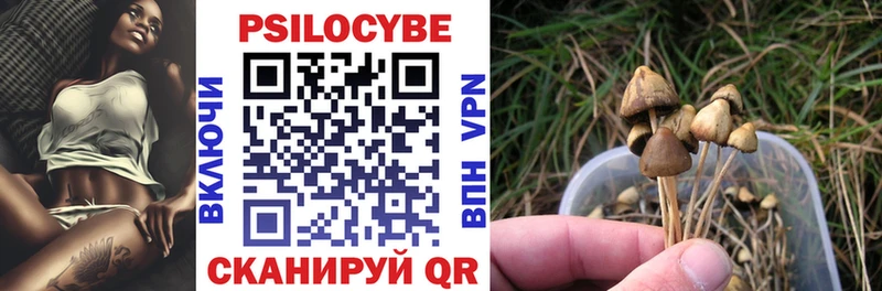Псилоцибиновые грибы мухоморы  mega онион  Туймазы 