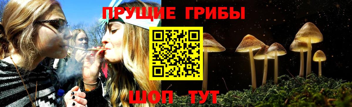 Псилоцибиновые грибы прущие грибы Туймазы